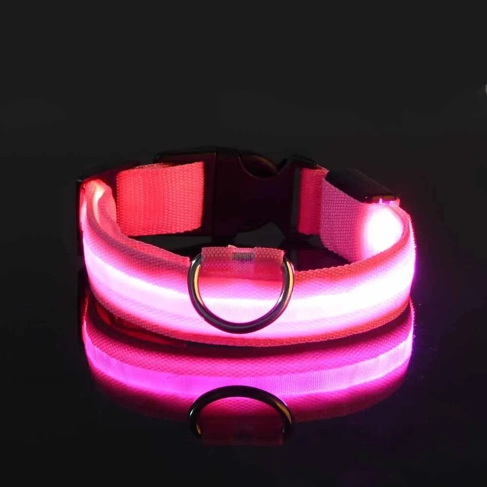 Nylon LED Pet Collar