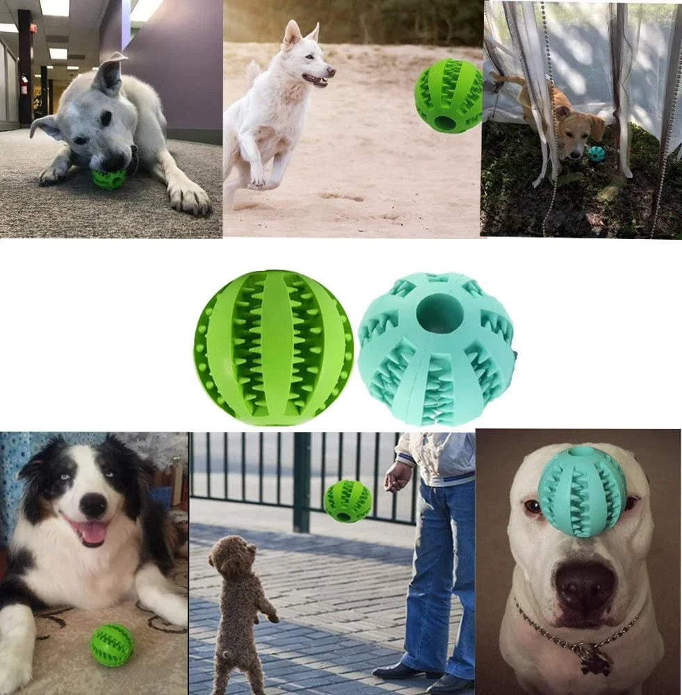 Interactive Rubber Dog Chew Ball