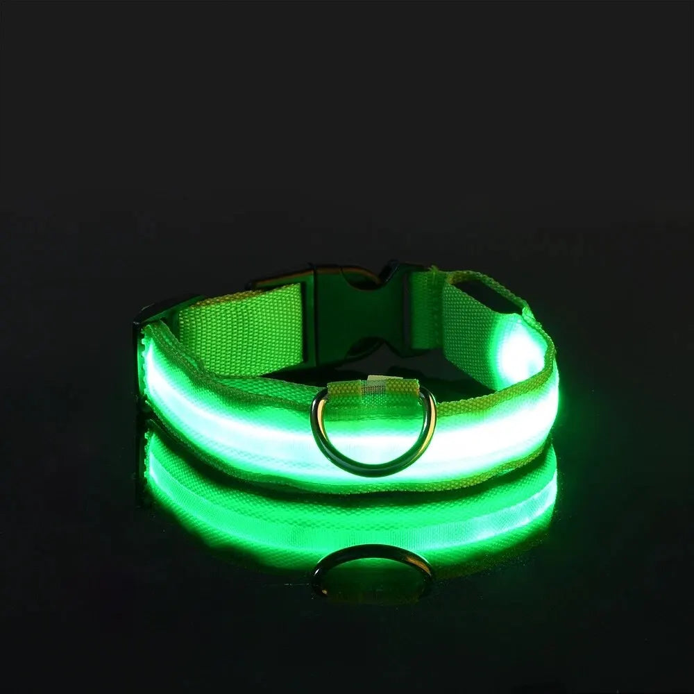 Nylon LED Pet Collar