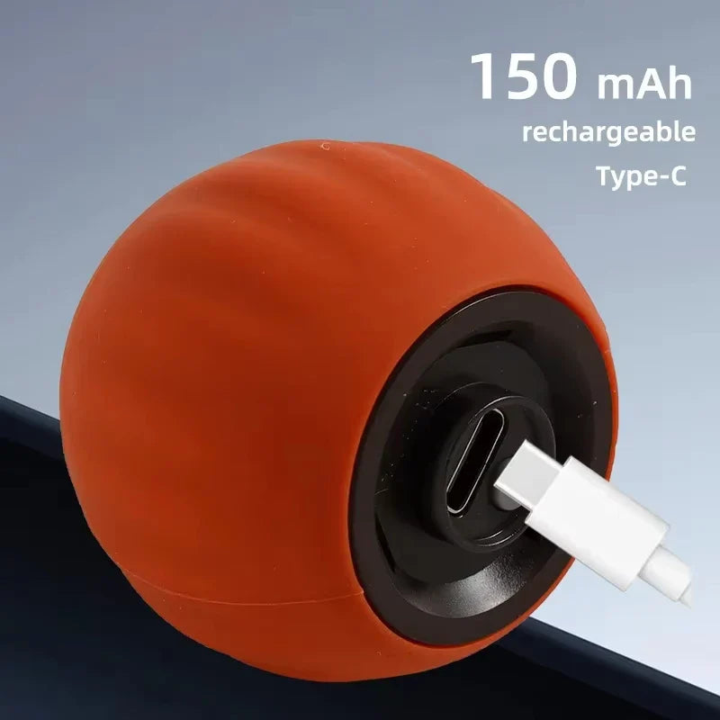 Rechargeable Automatic Rolling Cat Ball