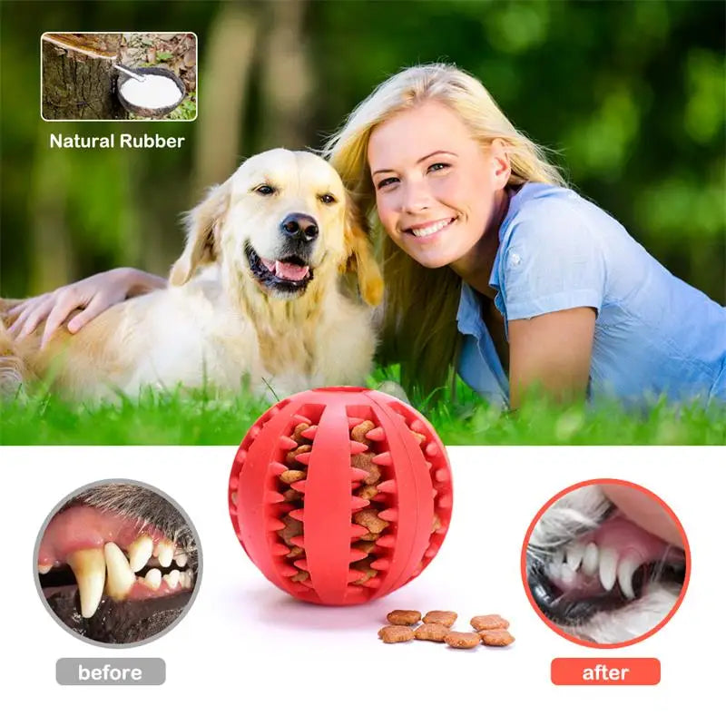 Interactive Rubber Dog Chew Ball