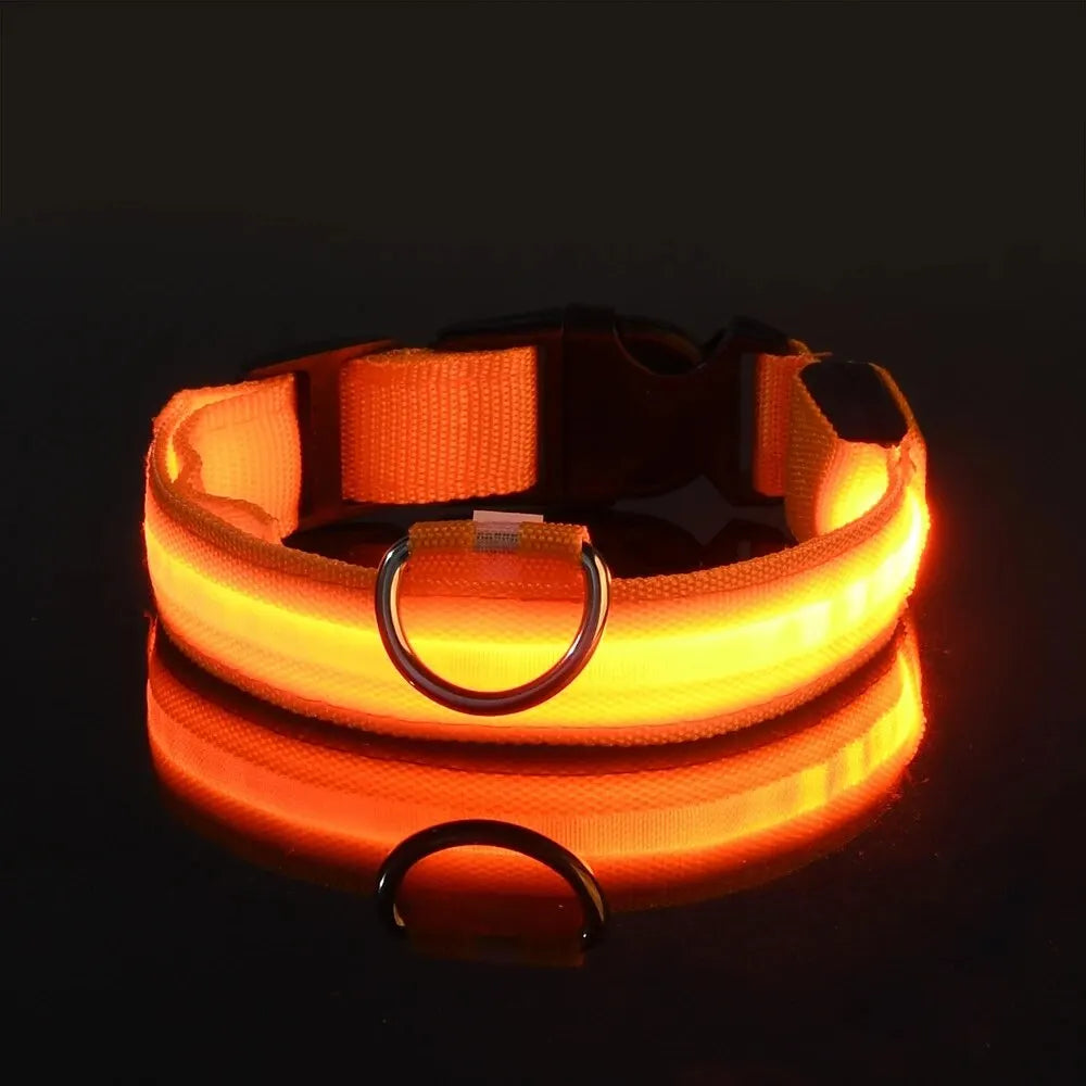 Nylon LED Pet Collar