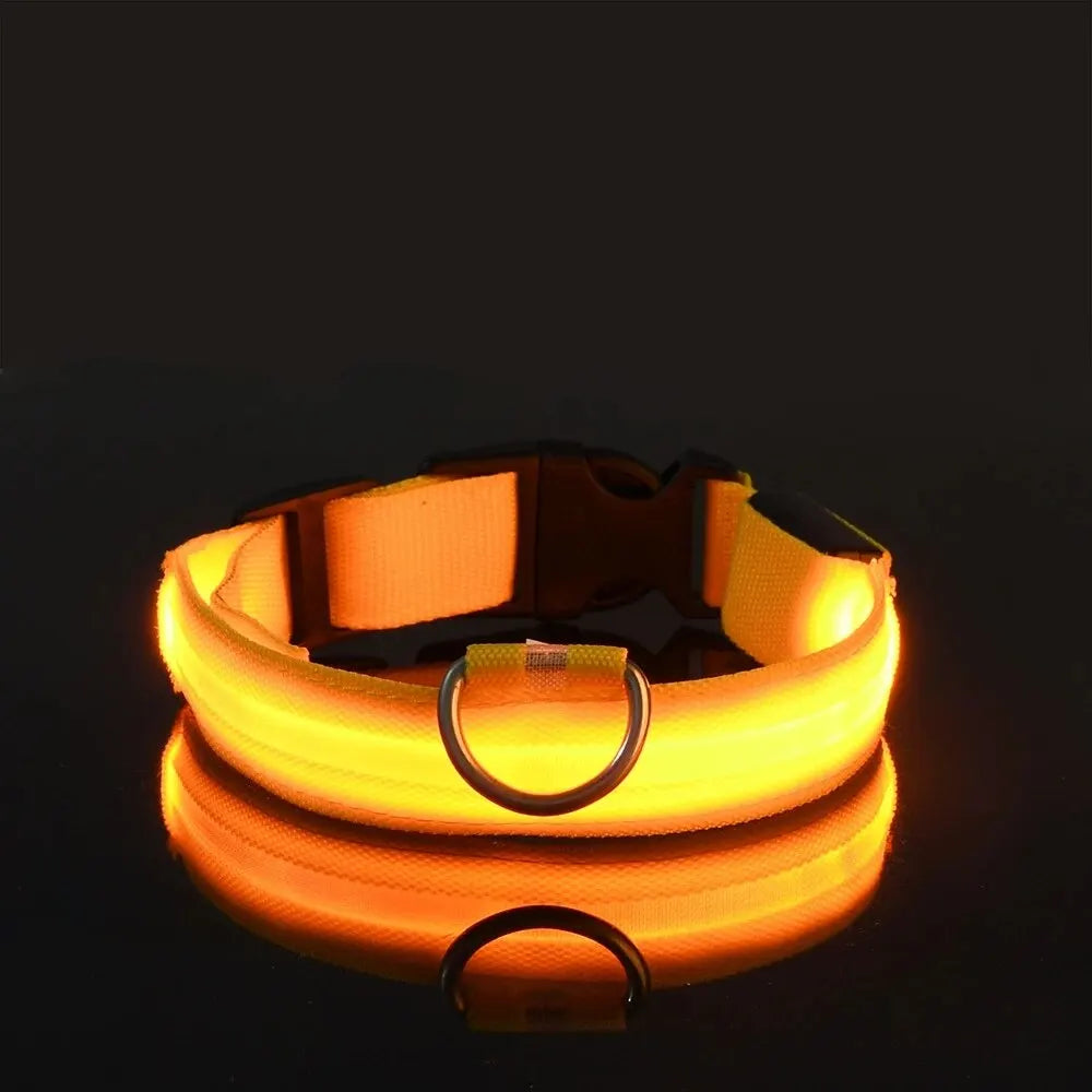 Nylon LED Pet Collar
