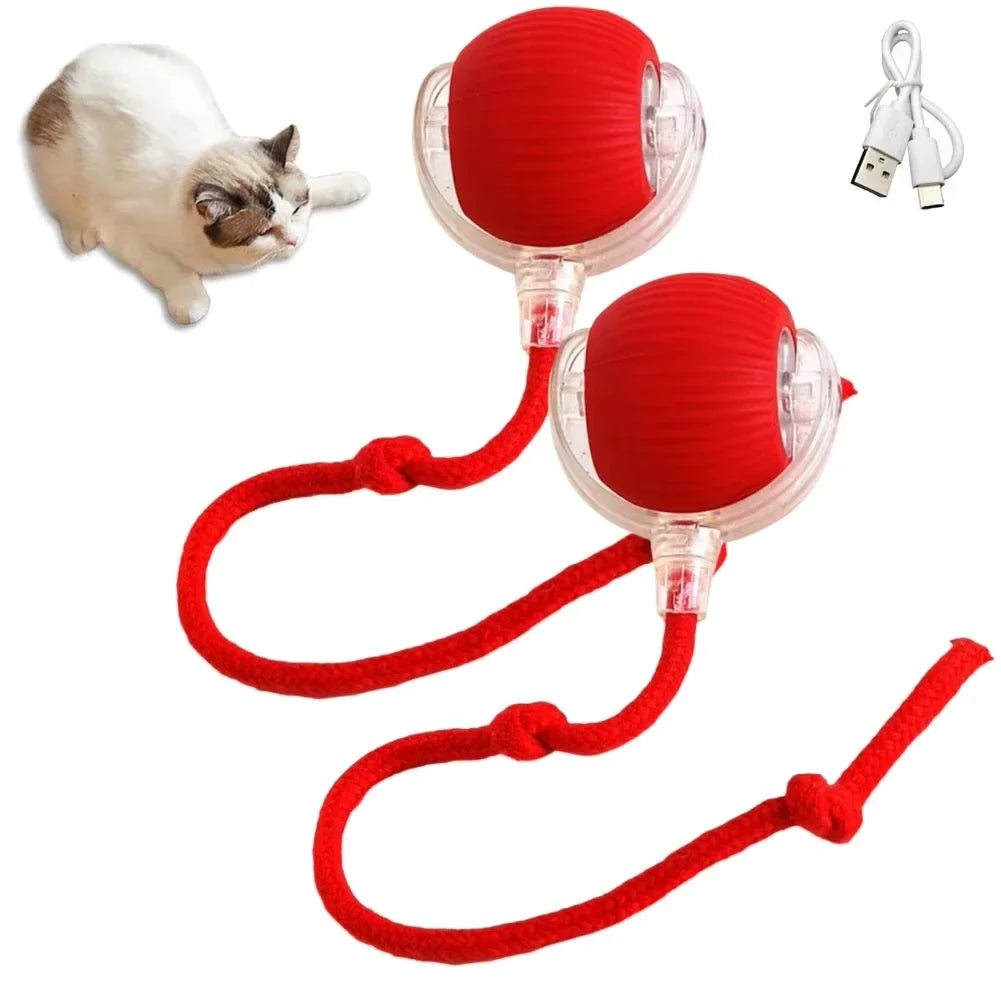 Rechargeable Automatic Rolling Cat Ball