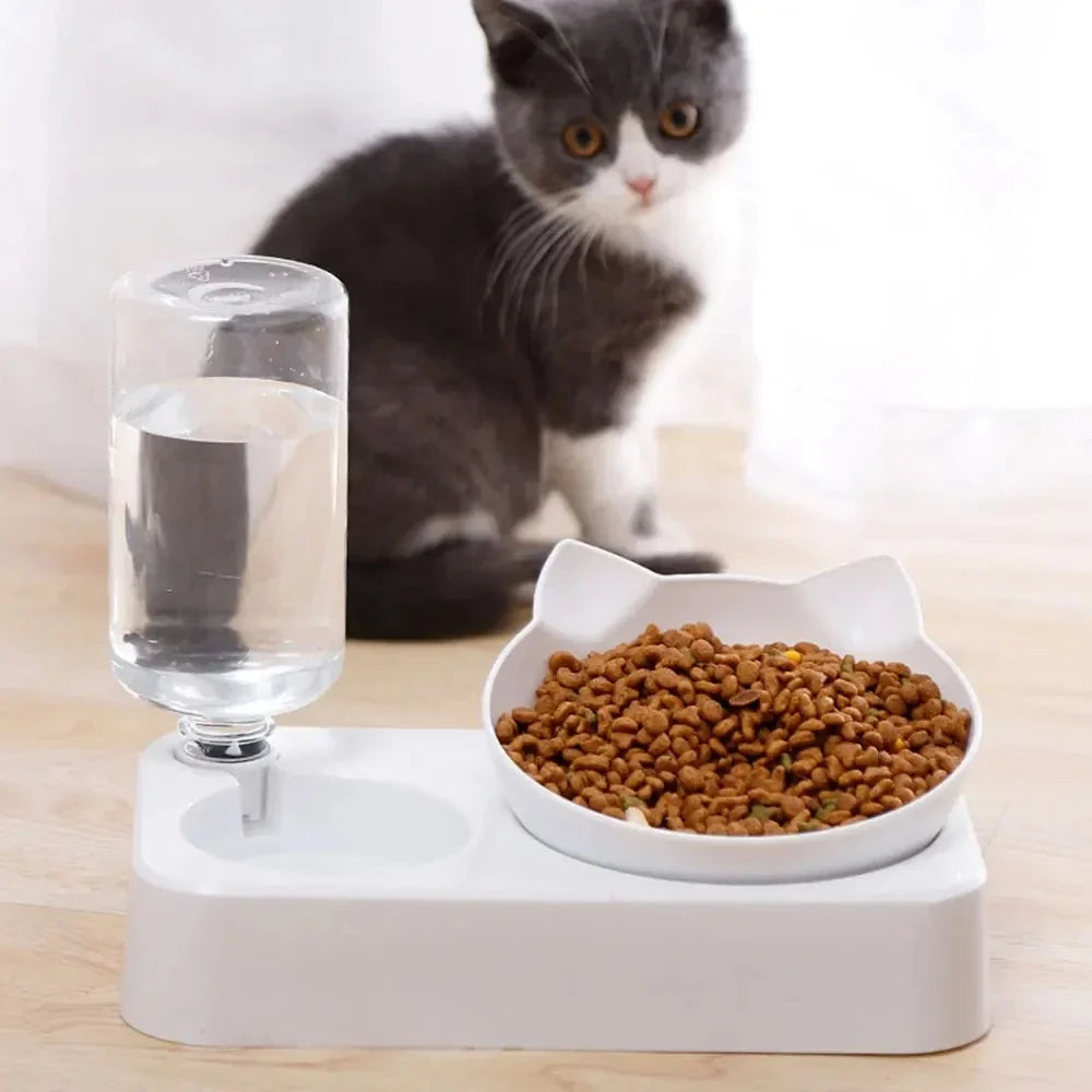 Pet Feeding